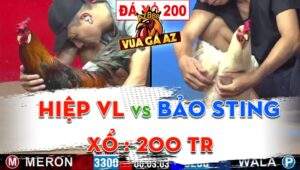 Trận 20 CPC2 05/05/2024 - Anh Hiệp Vĩnh Long Gặp Bảo Sting Xổ Đá 200