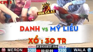 Trận 18 CPC1 29/06/2024 - Gà Mỹ Liều Có Pha Lật Kèo Không Tưởng