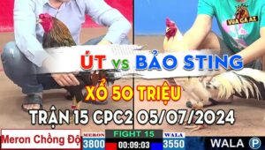 Trận 15 CPC2 05/07/2024 - Gà Bảo Sting Chồng Độ, Bất Ngờ Bỏ Chạy