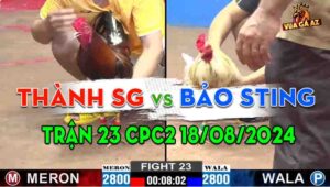 Trận 23 CPC2 18/08/2024 - Thành Sài Gòn Đối Đầu Bảo Sting, Hòa Hợp Lý