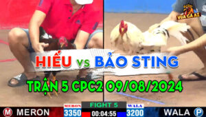 Trận 5 CPC2 09/08/2024 - Bảo Sting Ra Quân Thất Bại Trước Anh Hiếu