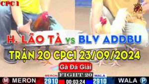 Trận 20 Giải CPC1 23/09/2024 - Bình Luận Viên ADDBU Hạ Hoàng Lão Tà