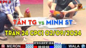 Trận 24 CPC1 02/09/2024 - Gà Anh Tân Tiền Giang Đá Siêu Tốc Độ