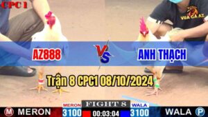 Trận 8 CPC1 08/10/2024 giữa AZ888 và anh Thạch