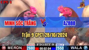 Trận 9 CPC1 28/10/2024 giữa anh Minh Sóc Trăng và AZ888