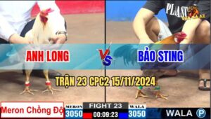 Trận 23 CPC2 15/11/2024 - Anh Bảo Sting Thất Thủ Khi Đối Thủ Chồng Độ