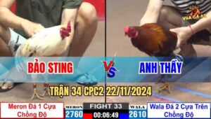 Trận 34 CPC2 22/11/2024 - Kèo Cực Dị Tại C2 Giữa Bảo Sting Và Anh Thầy