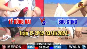 Trận 12 CPC2 03/11/2024 giữa anh Tý Đồng Nai và anh Bảo Sting
