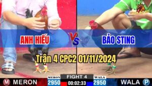 Trận 4 CPC2 01/11/2024 giữa anh Hiếu và anh Bảo Sting