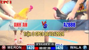 Trận 3 CPC1 30/12/2024 - Gà Ô Của AZ888 Đá Toàn Đâm Đầu Cần