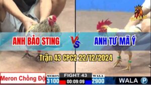 Trận 43 CPC2 22/12/2024 - Chuối Bảo Sting Chộng Độ Đá Đối Thủ Gãy Chân