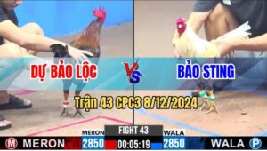 Trận 43 CPC3 8/12/2024 - Bảo Sting Qua C3 Giao Lưu Trong Ngoài 3 Tỏi