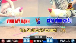 Trận 56 CPC3 27/12/2024 - Anh Vinh Giành Chiến Thắng Trước Anh Kẽm