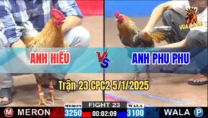 Trận 23 CPC2 5/1/2025 - Gà Cú Anh Phu Phu Phê Thuốc Bay Bồ