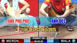 Trận 30 CPC2 19/1/2025 - Bướm Hiệu Của Anh Phu Phu Bị Đá Bể Trứng Dái