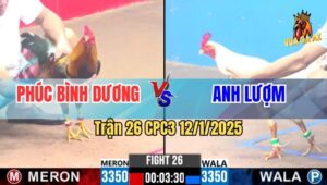 Trận 26 CPC3 12/1/2025 - Gà Anh Lượm Đâm Đối Thủ Người Như Con Nhím