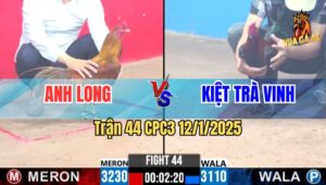 Trận 44 CPC3 12/1/2025 - Gà Que Anh Kiệt Đâm Đối Thủ Hư Toàn Tập