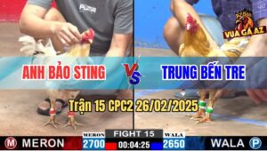 Trận 15 CPC2 26/2/2025 - Bổn Hiệu Bảo Sting Chưa Bao Giờ Làm AE Buồn
