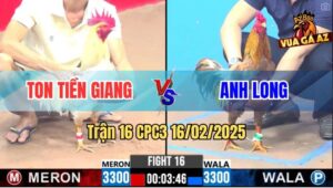 Trận 16 CPC3 16/2/2025 - Khét Khôn Khéo Bú Vô Là Có Kết Quả