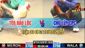 Trận 33 CPC1 22/2/2025 - Anh Tèo Bảo Lộc Chạm Trán Với Chú Lũy CPC