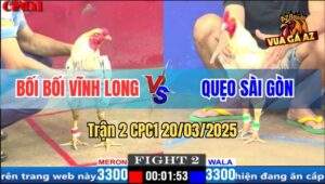 Trận 2 CPC1 20/3/2025 - Bướm Bối Bối Siết Gà Anh Quẹo Ói Mửa Từa Lưa