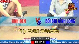 Trận 23 CPC1 20/3/2025 - Bối Bối Đụng Tính Ga King Bát 1 Bay Bồ