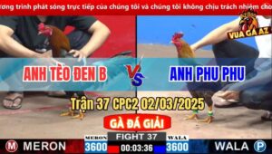 Trận 37 CPC2 2/3/2025 - Gà Anh Phu Phu Đá Gà Anh Bảo Sting Thở OXY