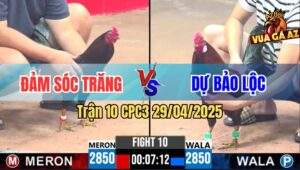 Trận 10 CPC3 29/4/2025 - Điều Xanh Anh Dự Bảo Lộc Đâm Đối Thủ Tốc Chạy