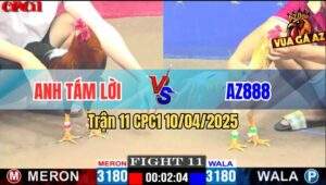 Trận 11 CPC1 10/4/2025 - Gà Điều Anh Tám Lời Đá Camelo AZ888 Bung Bồ