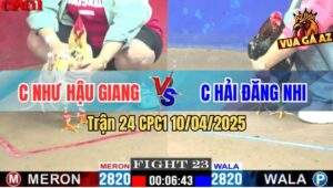 Trận 24 CPC1 10/4/2025 - Chị Như Hậu Giang Và Chị Hải Đăng Nhi