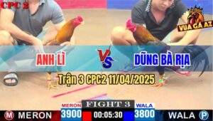 Trận 3 CPC2 11/4/2025 - Gà Que Anh Dũng Bay Bồ Bắt Vô Đá Khét Nằm Đống