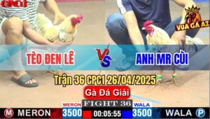 Trận 36 CPC1 26/4/2025 - Chúc Mừng Anh Tèo Được 9 Điểm Sau 3 Vòng Đấu