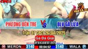 Trận 37 CPC1 26/4/2025 - Anh Phương Bến Tre Và BLV Gà Lửa