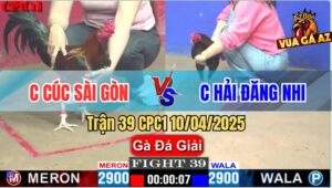 Trận 39 CPC1 10/4/2025 - Chị Cúc Sài Gòn Và Chị Hải Đăng Nhi