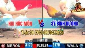 Trận 39 CPC3 9/4/2025 - Anh Hai Hóc Môn Hạ Anh Sỹ Bình Dương Dễ Dàng