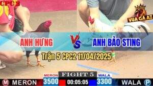 Trận 5 CPC2 11/4/2025 - Anh Bảo Sting Ra 2 Con Bay Bồ Cả 2