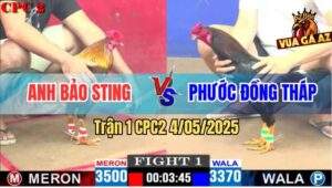 Trận 1 CPC2 4/5/2025 - Anh Bảo Sting Mở Bát Hạ Đẹp Anh Phước Đồng Tháp