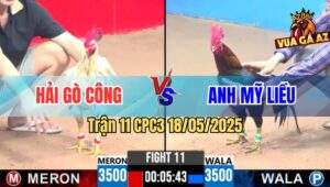 Trận 11 CPC3 18/5/2025 - Anh Mỹ Liều Tái Xuất Vừa Vô Bị Đá Hư Tỳ