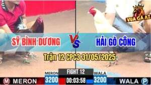 Trận 12 CPC3 31/5/2025 - Điều Chân Xanh Bú Úa Anh Hải Gò Công Bay Bồ