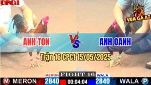 Trận 16 CPC1 15/5/2025 – Anh Ton Vs Anh Oanh Sài Gòn