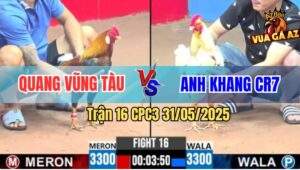 Trận 16 CPC3 31/5/2025 - Bướm Anh Khang Đá Điều Tích Vôi Té Cắm Đầu