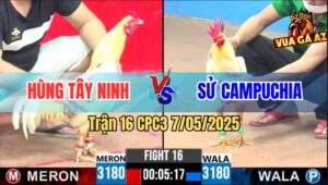 Trận 16 CPC3 7/5/2025 - Gà Bướm Anh Hùng Tây Ninh Bị Phản Ăn 1