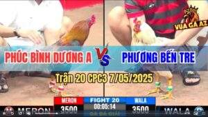 Trận 20 CPC3 7/5/2025 - Chú Phúc Bình Dương A Và Anh Phương Bến Tre