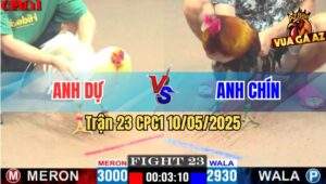 Trận 23 CPC1 10/5/2025 – Anh Dự Vũng Tàu Vs Anh Chín