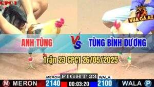 Trận 23 CPC1 26/5/2025 - Gà Chuối Anh Tùng Quá Lì Bướm Đâm Không Thấm