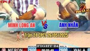 Trận 24 CPC1 26/5/2025 - Điều Má Minh Đâm Bể Hạt Kê Gà Anh Nhân