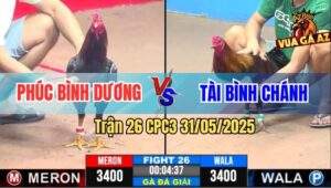 Trận 26 CPC3 31/5/2025 - Chú Phúc Bình Dương Gặp Anh Tài Bình Chánh