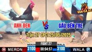 Trận 27 CPC3 25/5/2025 - Anh Gấu Bến Tre Rớt Nài Với Anh Tính Ga King