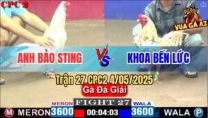 Trận 27 CPC2 4/5/2025 - Đội Anh Bảo Sting Gặp Đôi Khoa Bến Lức