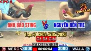 Trận 31 CPC2 4/5/2025 - Đội Anh Bảo Sting Và Đội Nguyên Bến Tre